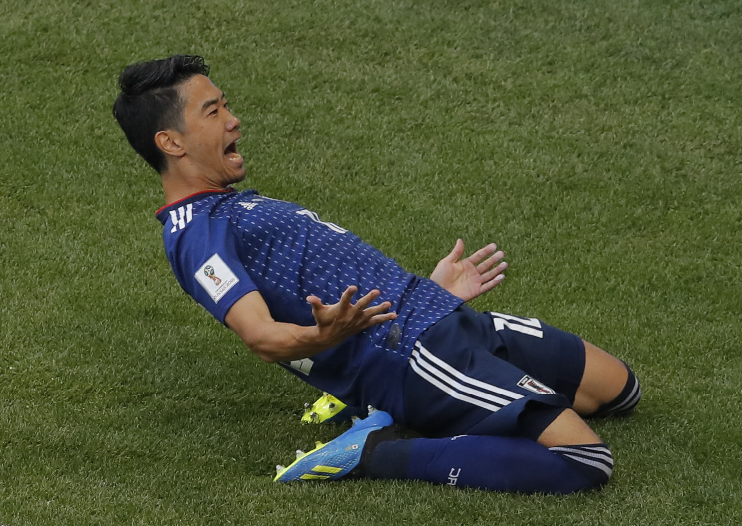 Japan's Shinji Kagawa celebrates